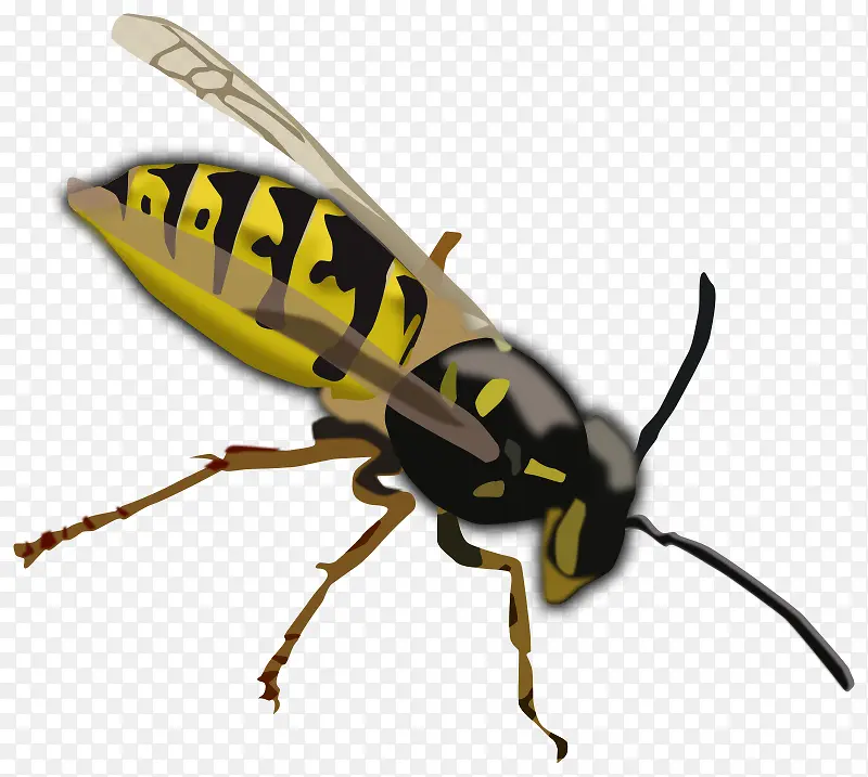 ��ɫ�Ŀ�ͨ�۷�-������