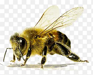 �۷�-������