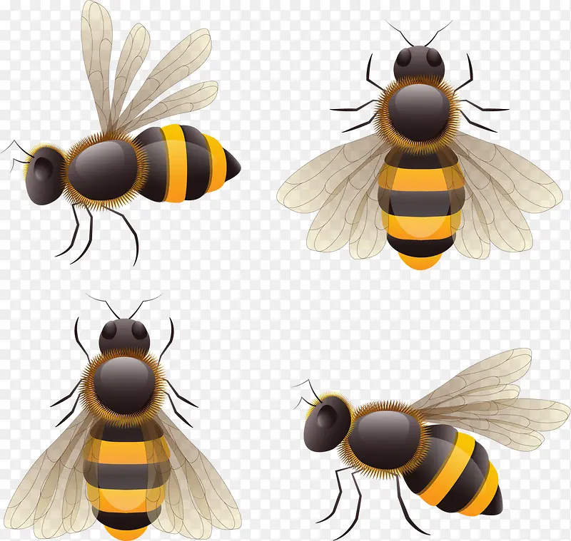 ʸ���ֻ�����-������