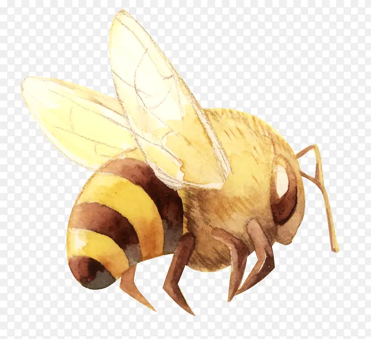 �ֻ��۷�-������