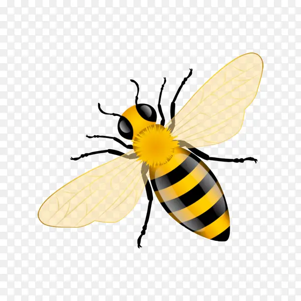 Ư�����۷�-������