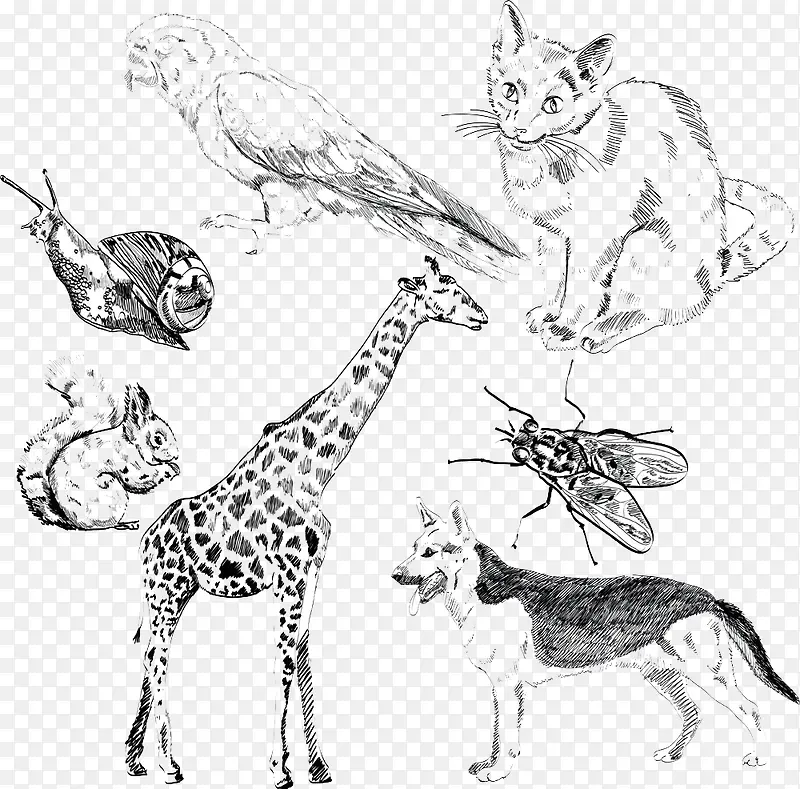 �ֻ涯��-������