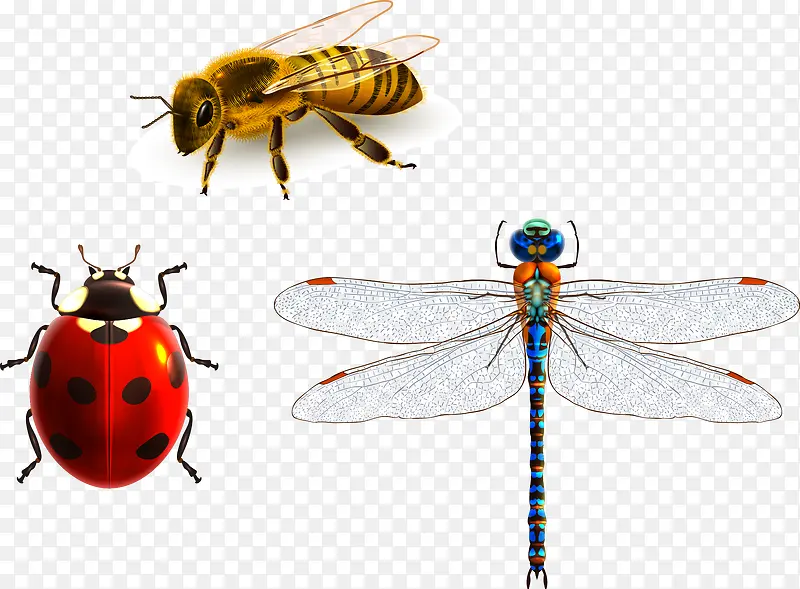 �۷�����ư��-������