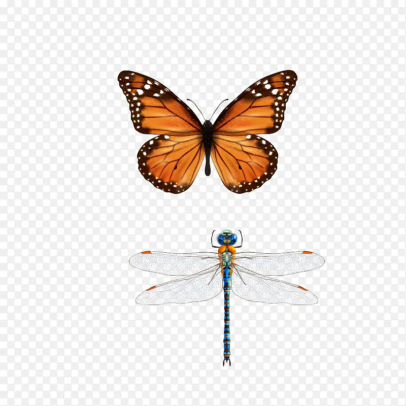 ����   ����-������