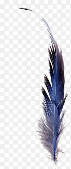 �ֻ���ë-������