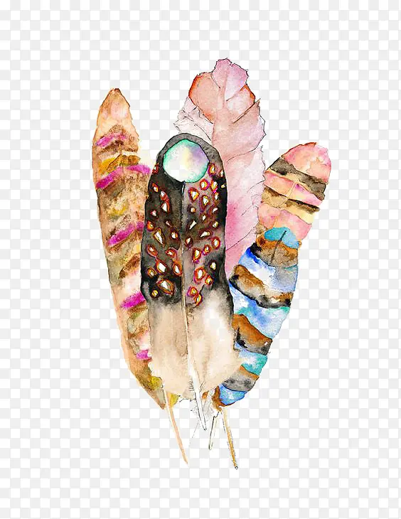 ˮ����ë-������