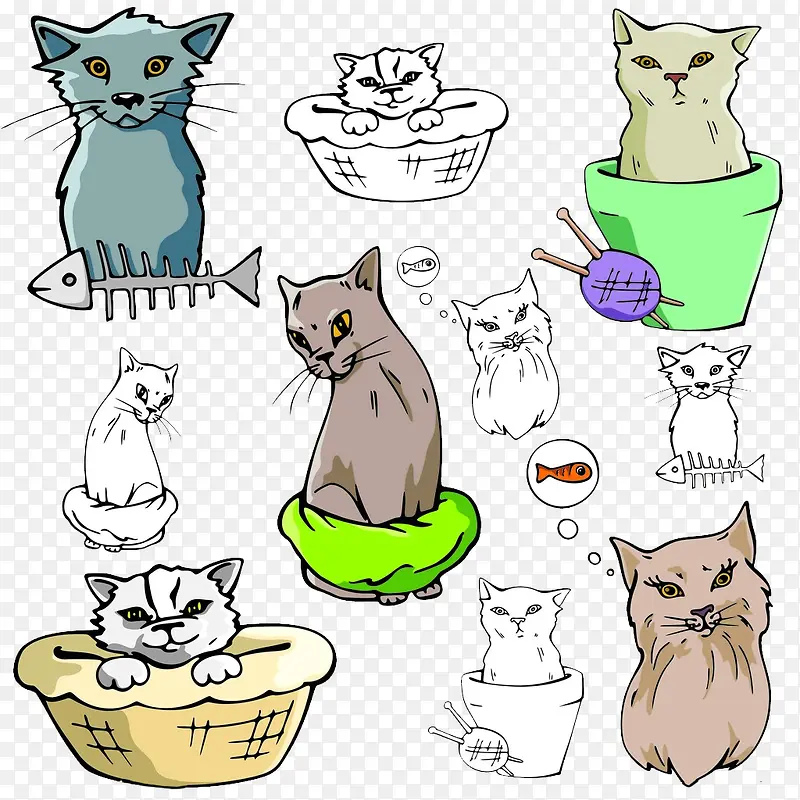 ��ͨ�ֻ�è-������