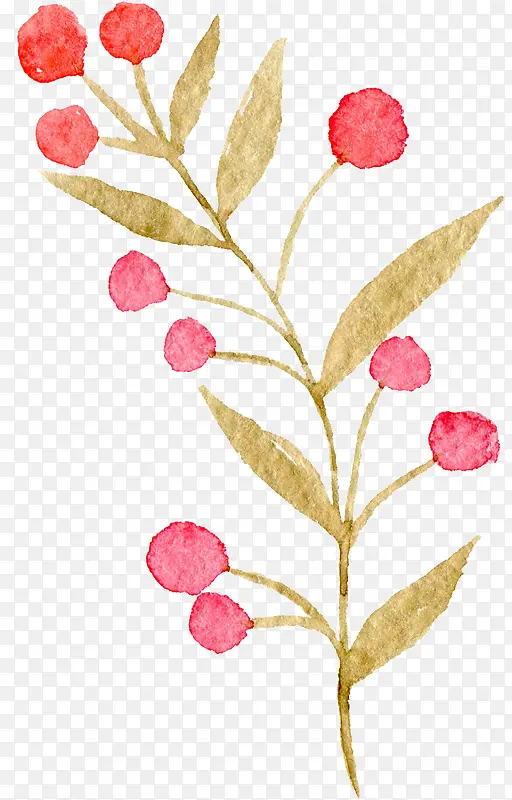 ��ɫˮ��ֲ��-������