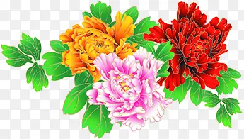 ���ջ��Ӱ��Ч��-������