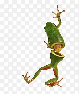 ������-������