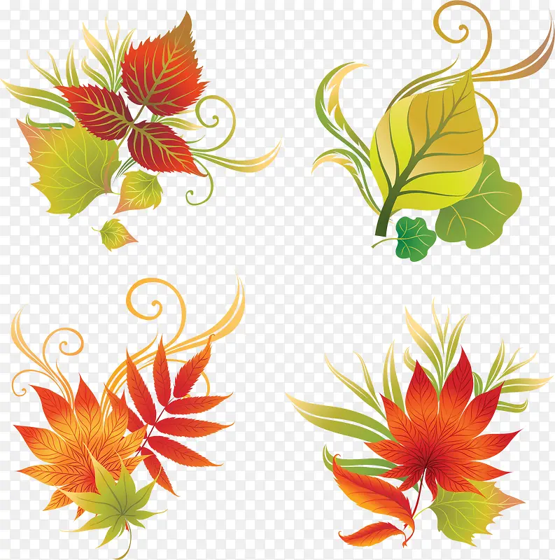 �����Ҷ-������