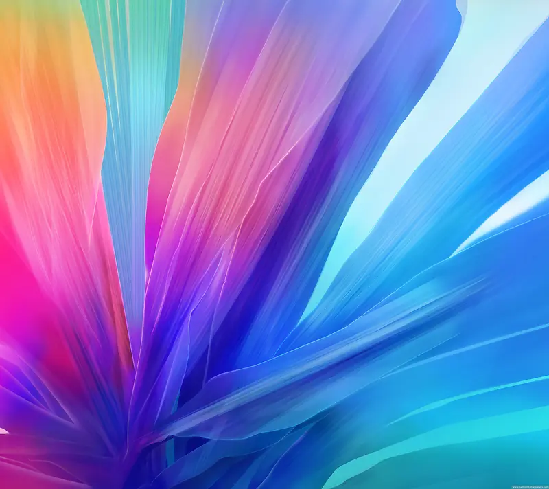 ��ɫѤ�ý�Լ����-������