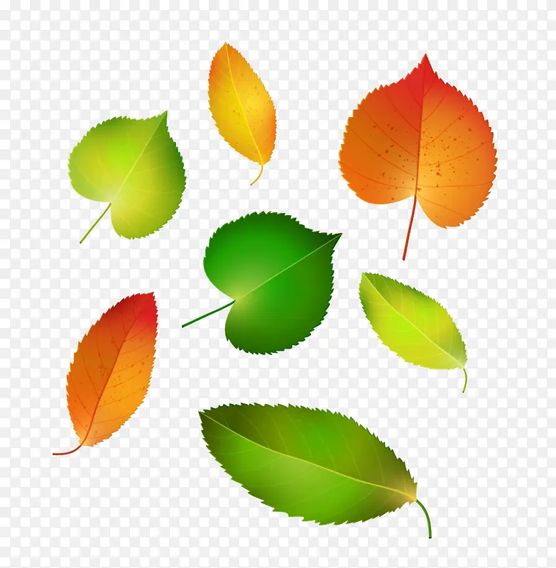 �����Ҷ-������