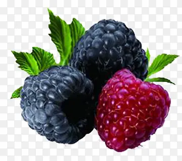 �����ݮ-������