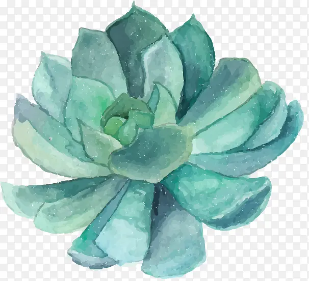 ����ֲ��-������