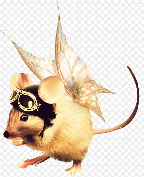 ����С����-������