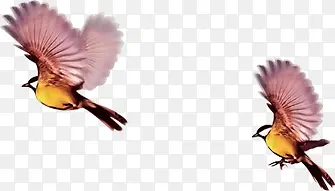 ����ƺ�ɫ���С��-������