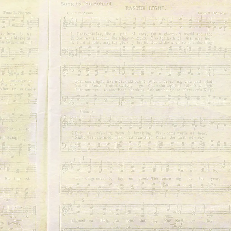 �������ױ���-������