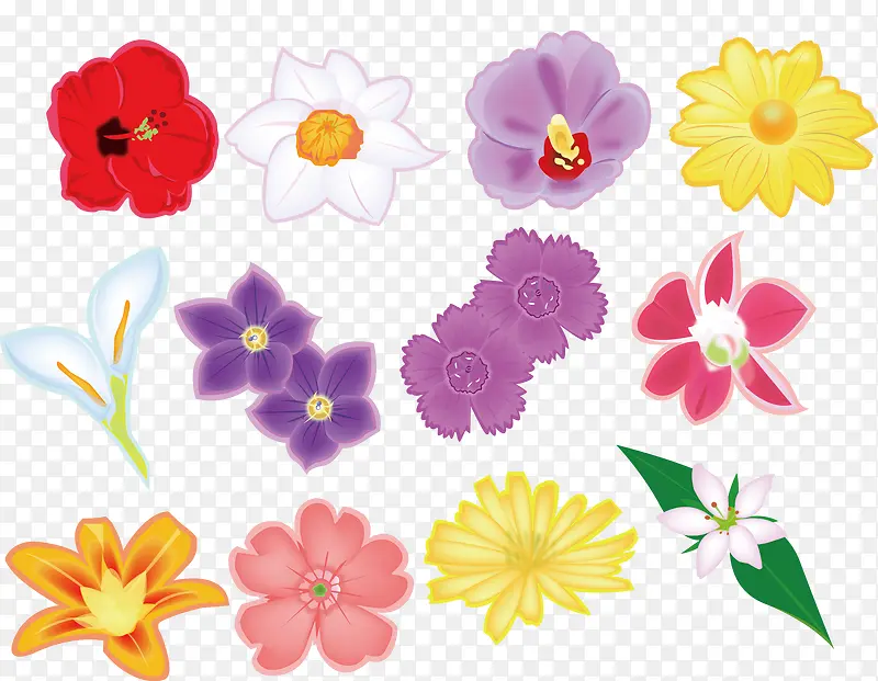 ʸ������С���ز�-������