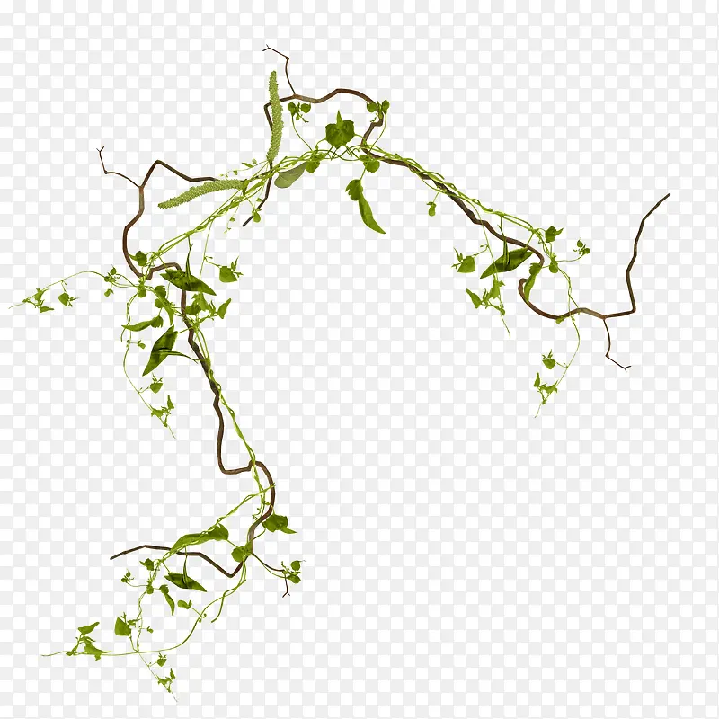 С���ز�-������