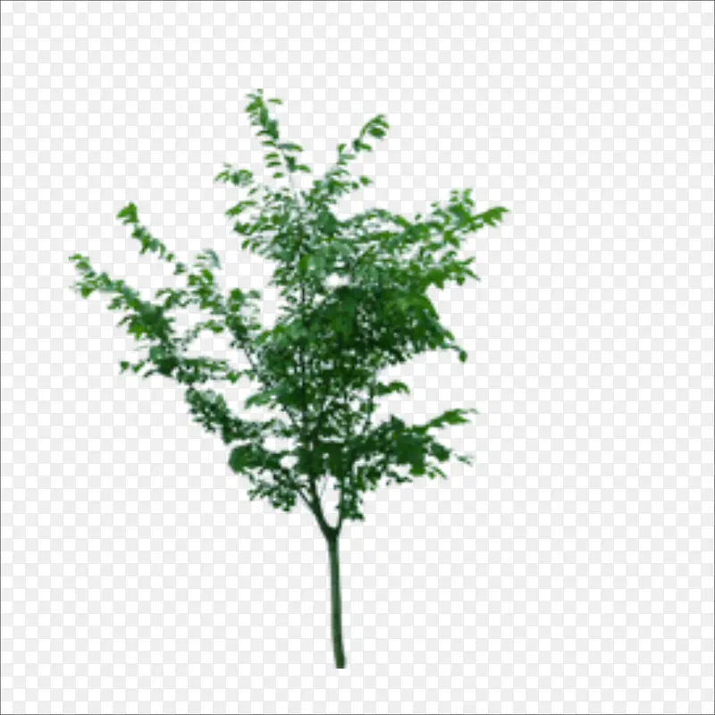 С��-������