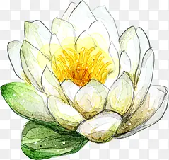 �ֻ��ɫ�ɻ�װ��-������