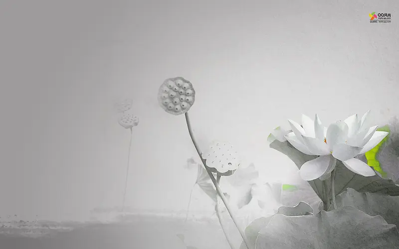 ��ɫ�ɻ�Ψ��ʱ��-������