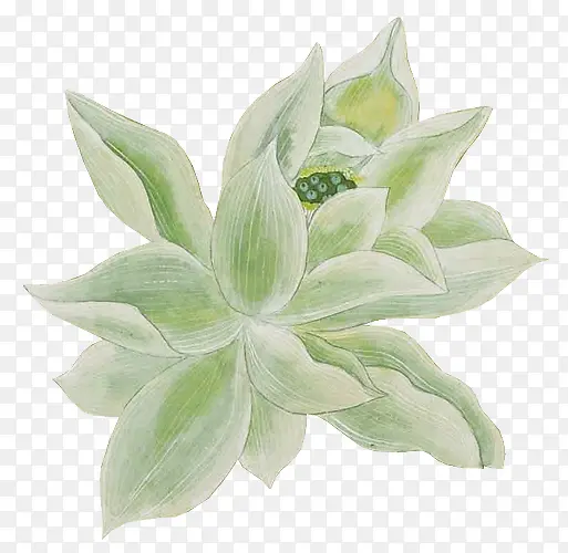 �ֻ��ɫ�ɻ�ͼƬ-������