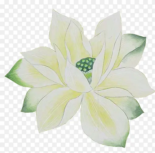 �ֻ��ɫ���źɻ�-������