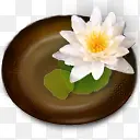 Բ�̰�ɫ�ɻ��ز�-������