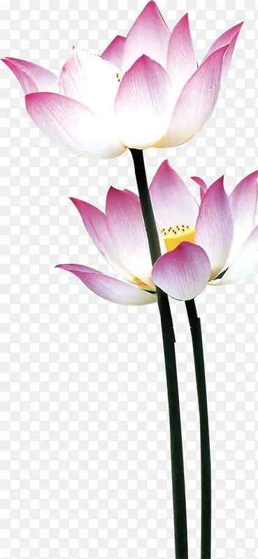 �ֻ��ɫ��ɫ�ɻ�-������