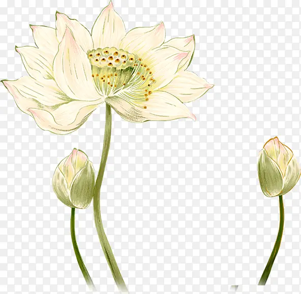 �ֻ��ɫ�ɻ��ɰ�-������