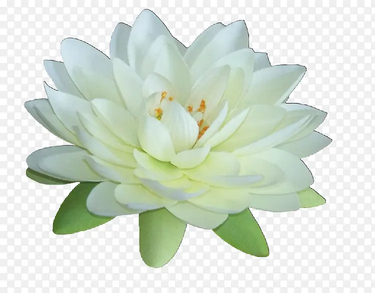 �ɻ���ɫ�ɻ�͸��-������