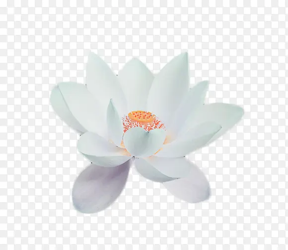 ��-�ɻ�ˮ�ʰ�ɫ�ɻ�-������