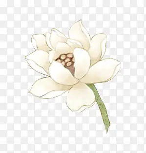 �ֻ��ɫ��������-������