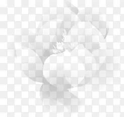 ��ɫ�ֻ�����װ��-������