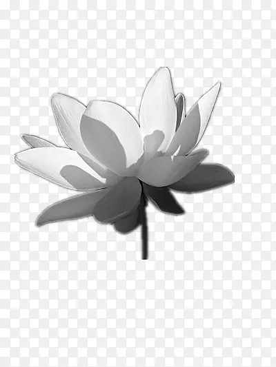 ��ɫ����ˮī��-������