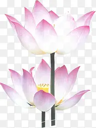 ��ɫˮ���ֻ�ɻ�-������