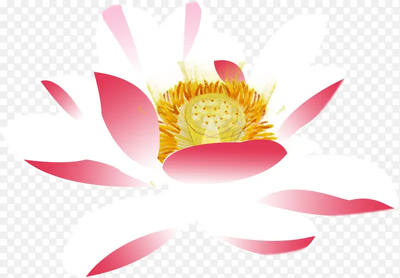 �ֻ��ɫ�ɻ��廭-������