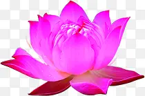 �ֻ��ɫ�ɻ������߲�-������