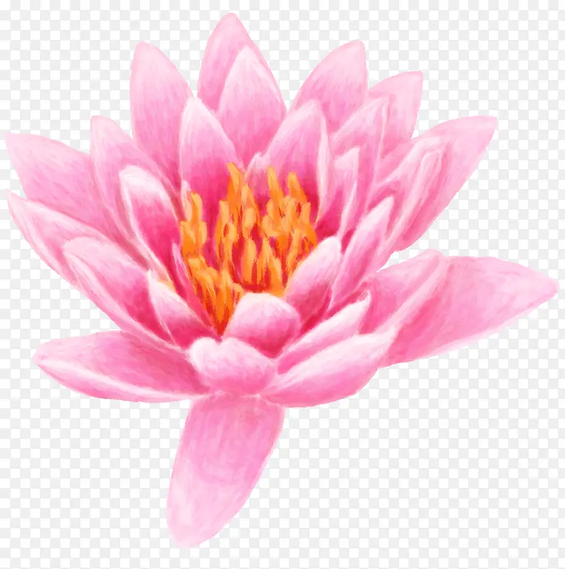 ��ɫ�ɰ��ֻ�ɻ�-������