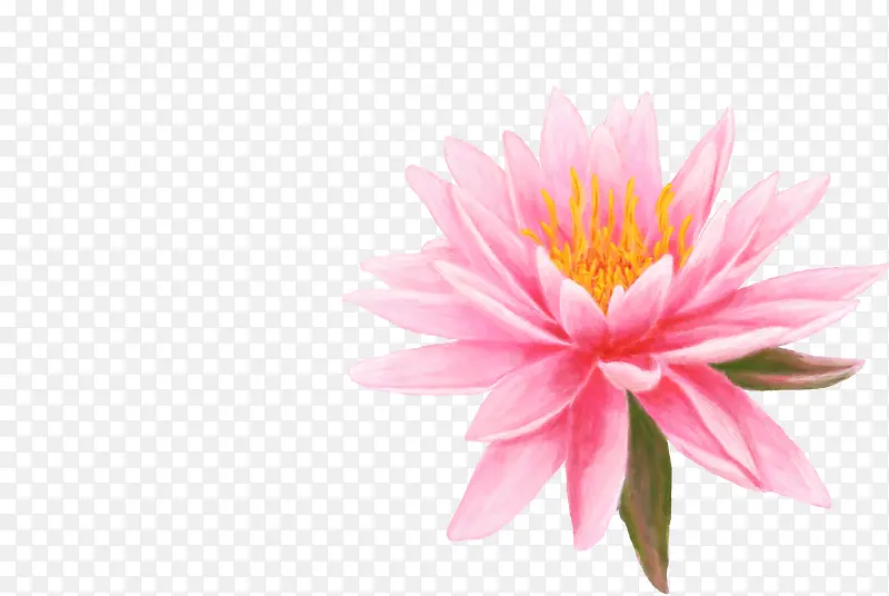 ��ɫ�ֻ�ɰ��ɻ�-������