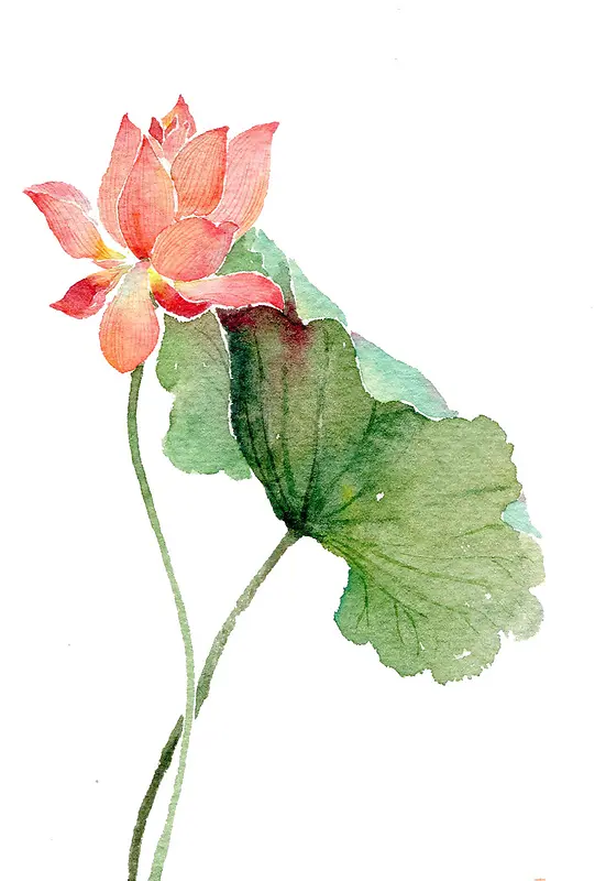 ��ɫˮ�ʺɻ���ֽ-������