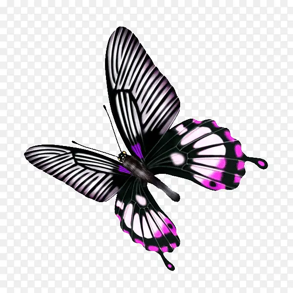 ��ͨ����-������