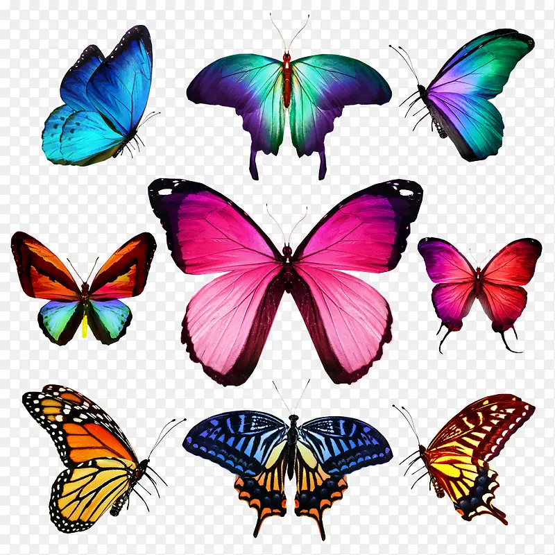 ��ɫ����-������