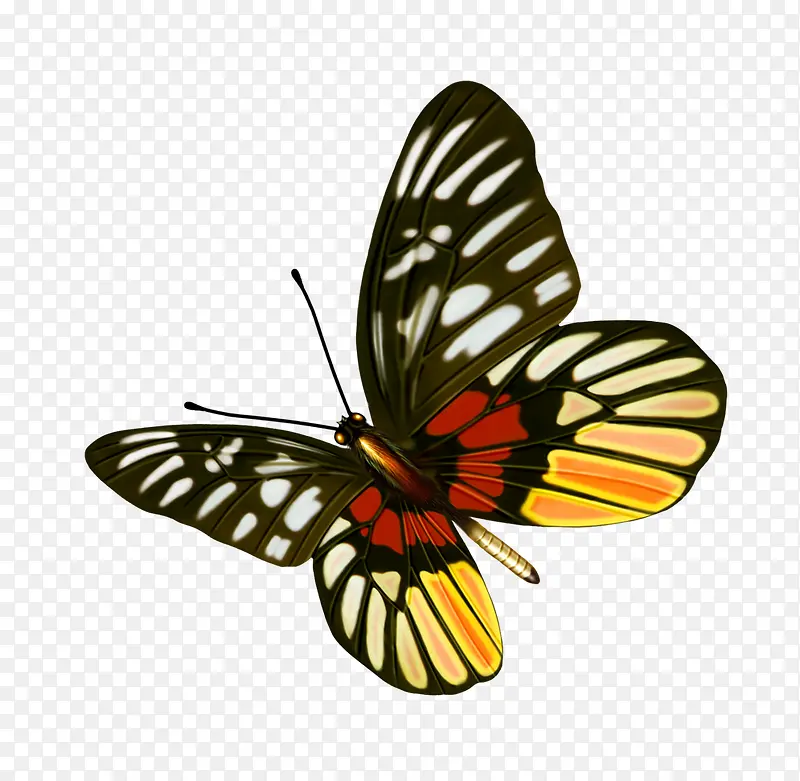 ����-������