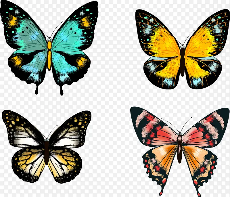 �ֻ����-������