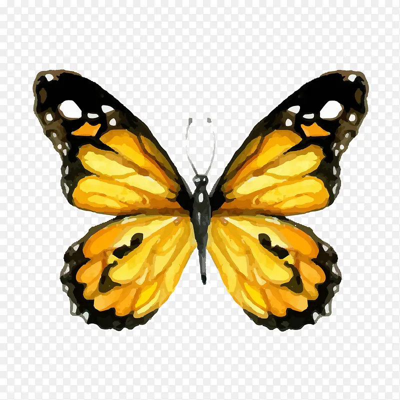 ˮ�ʺ������-������