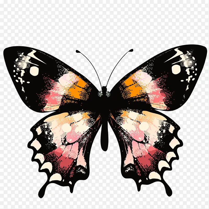 �ֻ����-������