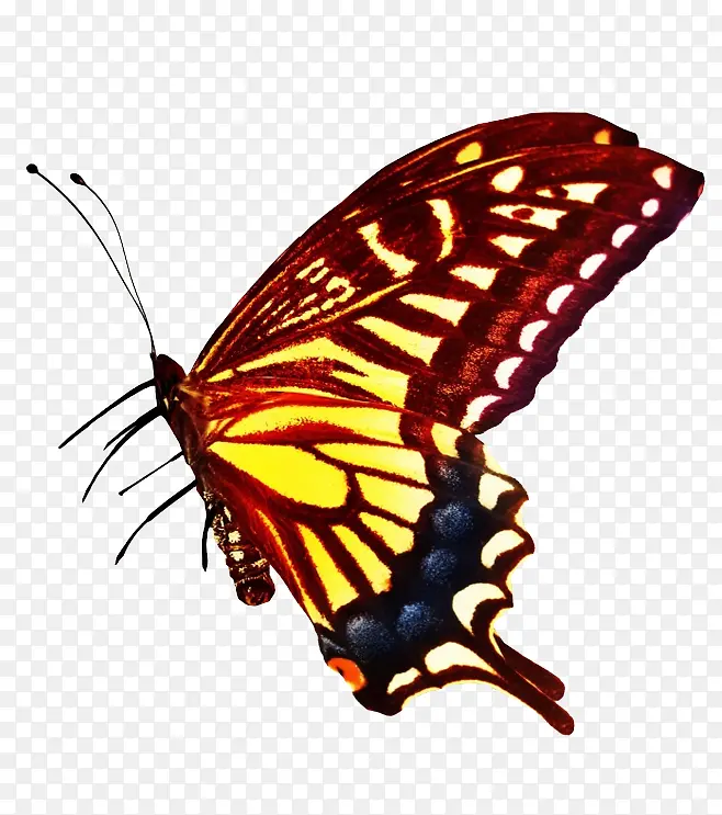 �����-������